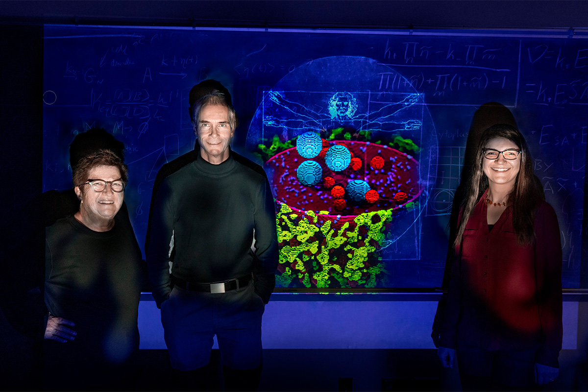  Chemistry professors Zaida Luthey-Schulten, left, Martin Gruebele and research scientist Zhaleh Ghaemi have developed the most complete computational model of a human cell to date. 