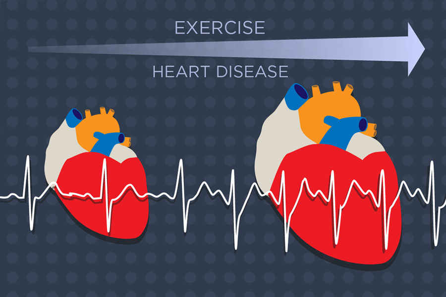 The heart enlarges in response to growing demands from exercise or heart disease. A new study identifies a key molecular player in this process.