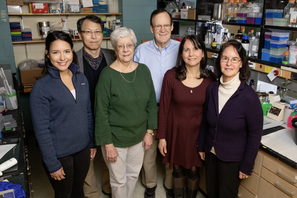 Researchers including, from left, graduate student Valeria Sanabria Guillen, research scientist Sung Hoon Kim, researcher Kathy Carlson, chemistry professor John Katzenellenbogen, research specialist Yvonne Ziegler, and molecular and integrative physiology professor Benita Katzenellenbogen developed new drug agents to inhibit a pathway that contributes to cancer. The compounds killed cancer cells and reduced the growth of breast cancer tumors in mice. 