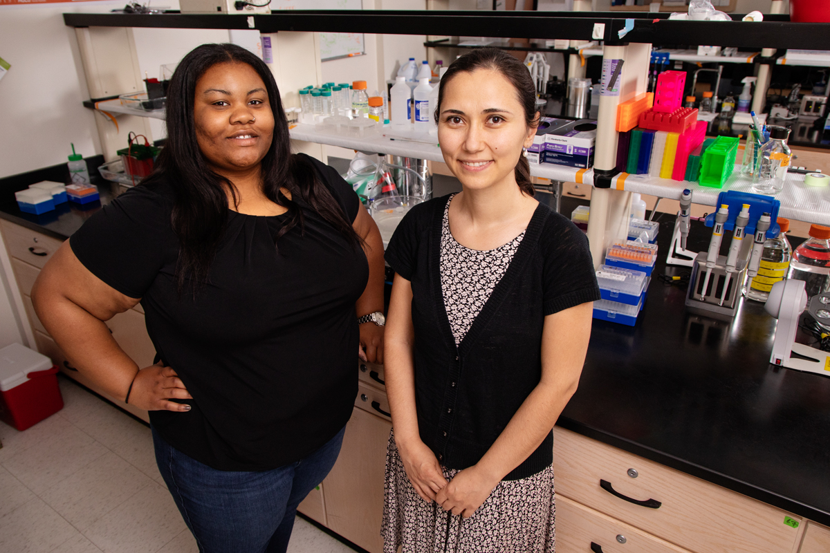 Racial disparities in breast cancer diagnosis and survival rates may have more to do with women’s living environments than their races, suggests a new meta-analysis of recent research on the topic by, from left, graduate student Brandi Patrice Smith and professor Zeynep Madak-Erdogan, both in the department of food science and human nutrition at the University of Illinois.