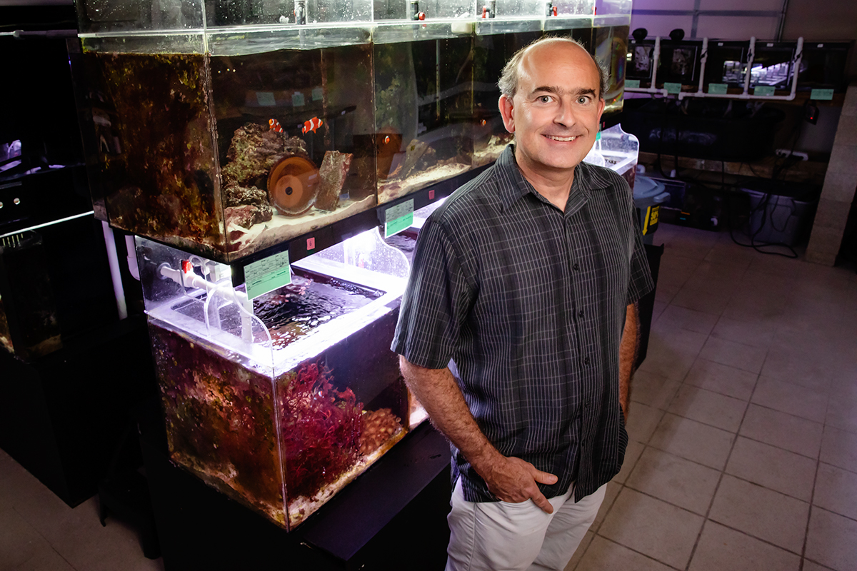 psychology professor Justin Rhodes and his colleagues discovered that the male-to-female sex change in anemonefish occurs first in the brain.
