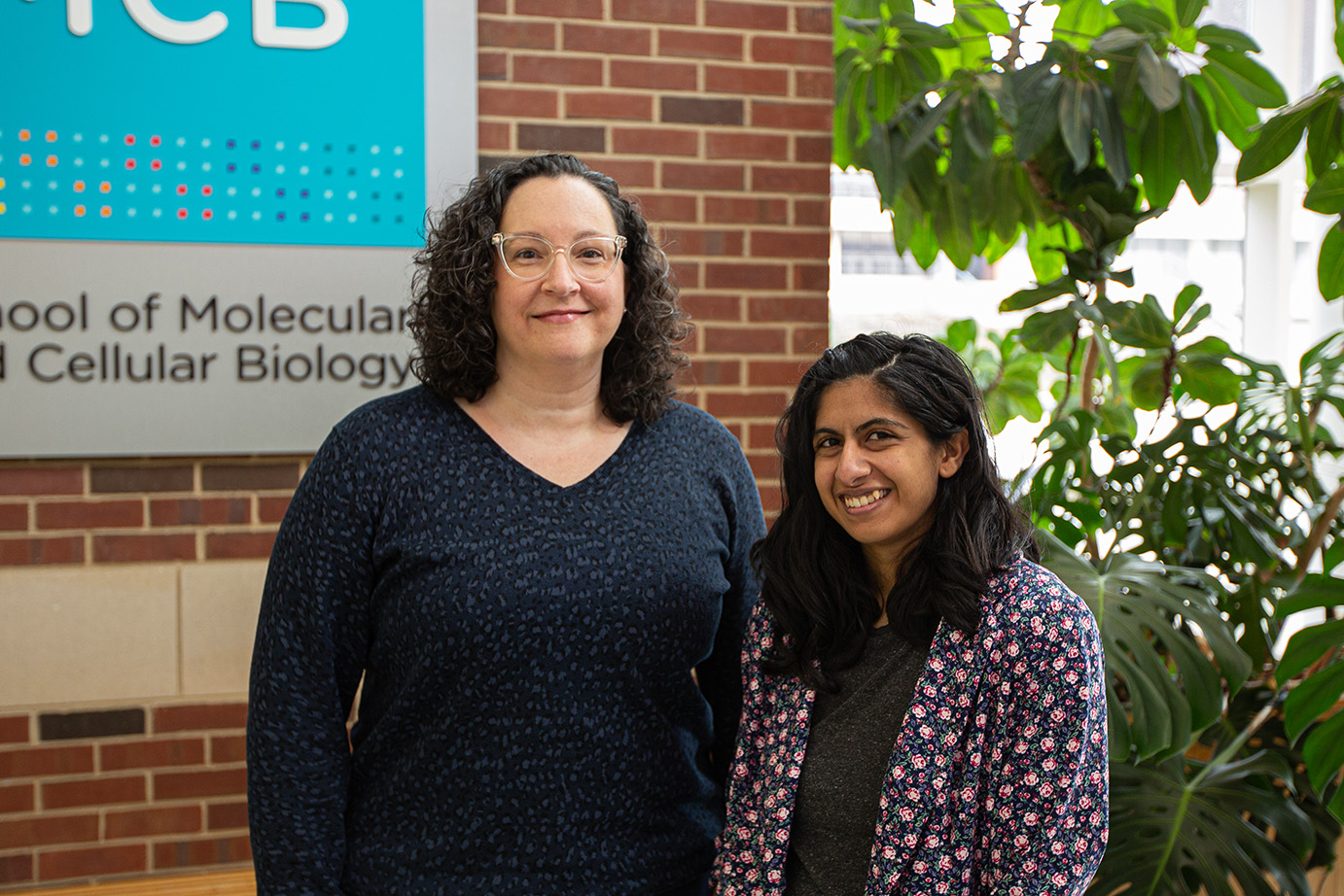 Cari Vanderpool, left, and Sabrina Abdulla uncovered how the small RNAs Spot 42 and SdsR help Salmonella express their virulence genes.