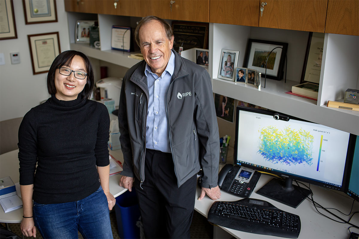 Postdoctoral Researcher Yu Wang (left) and Ikenberry Endowed Professor Stephen Long (right) 