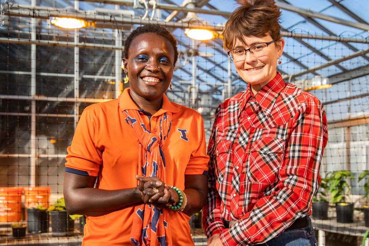 Esther Ngumbi, left, and Erinn Dady studied the effect of arbuscular mycorrhizal fungi, caterpillars, and the variety of tomato plants on plant chemistry.
