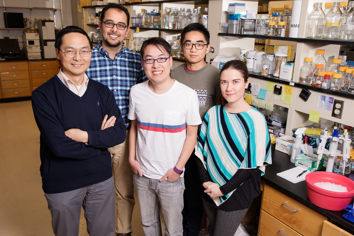 Illinois researchers created a system using CRISPR technology to selectively turn off any gene in Saccharomyces yeast. Pictured, from left: chemical and biomolecular engineering professor Huimin Zhao, graduate students Mohammad Hamedi Rad, Zehua Bao, Pa Xue and Ipek Tasan.