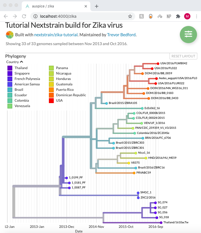 Image of a Zika virus phylogenic tree built through a NextStrain tutorial.