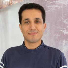 Reza Rajabi-Toustani