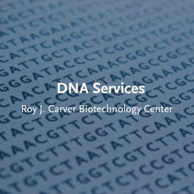 DNA Services