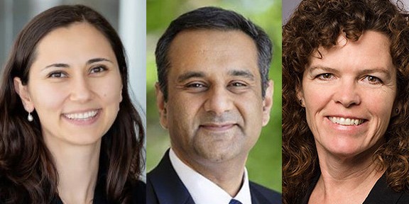 From left: University of Illinois researchers Zeynep Madak-Erdogan, Rohit Bhargava, and Colleen Bushell collaborated on a project to detect potential liver toxicity through genetic biomarker identification.