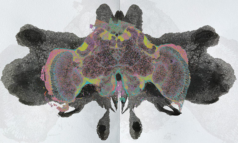 K’aizalaj Okox<br /><br />
Scientist Collaborators Alex Schrader, JuYeon Lee, Marisa Asadian, Ian Traniello, Gene E. Robinson and Hee-Sun Han Hee-Sun Han Group<br /><br />
Fluorescence Microscope - Zeiss Axiovert 200M with the Apotome<br /><br />
Funded by the J&amp;J Cancer Center, European Research Council, Brain2Bee