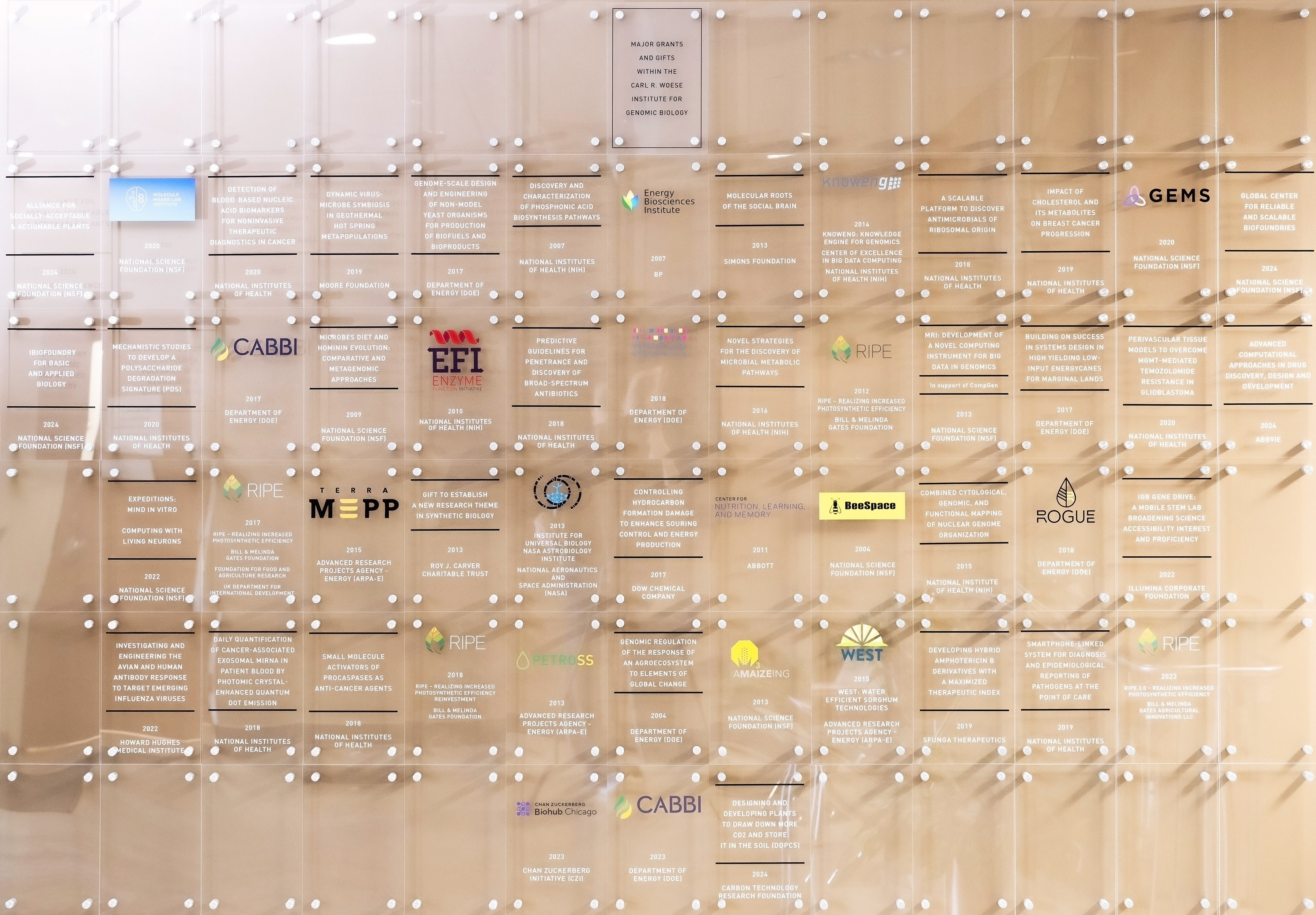 Proposal Development Team