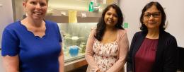 Jodi Flaws, Arpita Bhurke, and Indrani Bagchi 