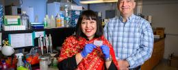 Team streamlines DNA collection, analysis for elephant conservation