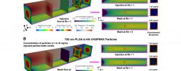Chamber flow simulation for particle adhesion for 220 nm particles (top) and for 750 nm particles (bottom). Larger particles show greater retention after the wash stage than smaller particles.