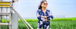 Agricultural and consumer economics professor Madhu Khanna and her colleagues propose policies that would reward farmers for adopting “climate-smart” practices when growing biofuel crops. Photo by Fred Zwicky
