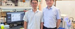 Cancer Center at Illinois (CCIL) member Hua Wang (right) and lab member Yusheng Liu