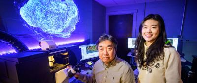 Illinois professor Bumsoo Han, left, and postdoctoral researcher Sae Rome Choi are authors of a new study exploring the use of DNA origami for better imaging of dense pancreatic tissue for cancer detection and potential treatment. Photo by Fred Zwicky