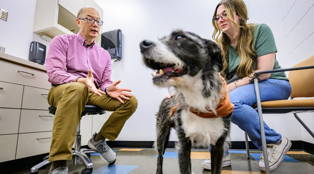 Veterinary clinical medicine professor Dr. Timothy Fan consults Sara Tondini about her dog, Milton. Photo by Fred Zwicky