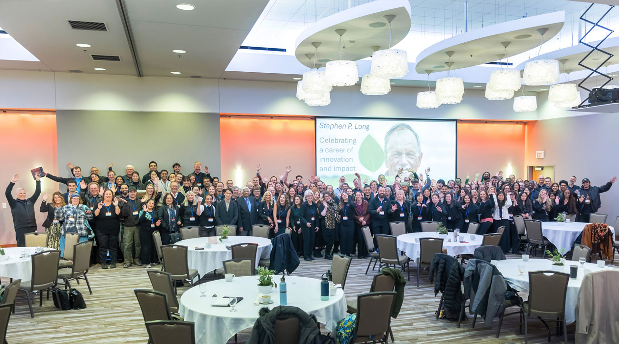 Stephen P. Long: Celebrating a career of innovation and impact