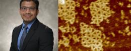 First author Saurabh Umrao (left) with images of DNA nets taken using atomic force microscopy imaging.