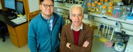 The first author Thu Vu Phuc Nguyen, left, and Ido Golding investigated how coinfecting phages can impede each other’s entry into a cell. 
