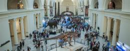 World of Genomics Field Museum Interior from above