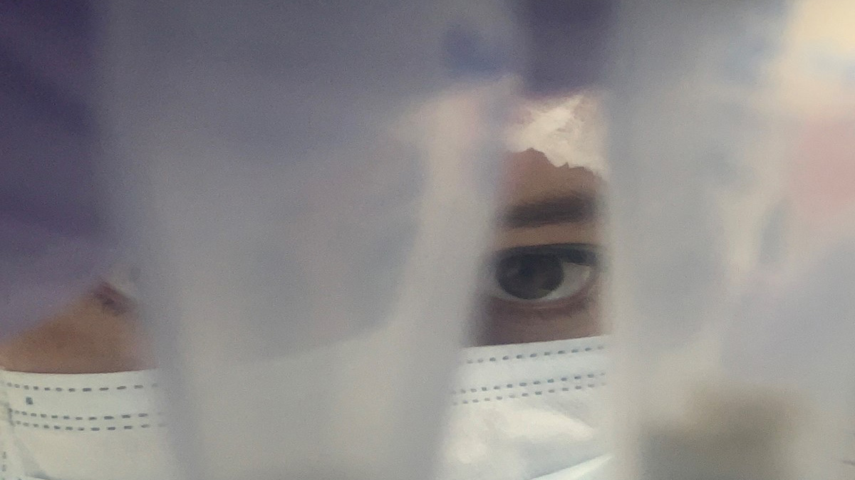 Alida de Flamingh examines two tubes filled with samples collected from museum specimens of cape lion skulls