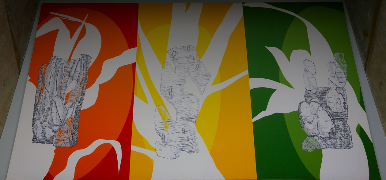 AOS Spotlight May 2025