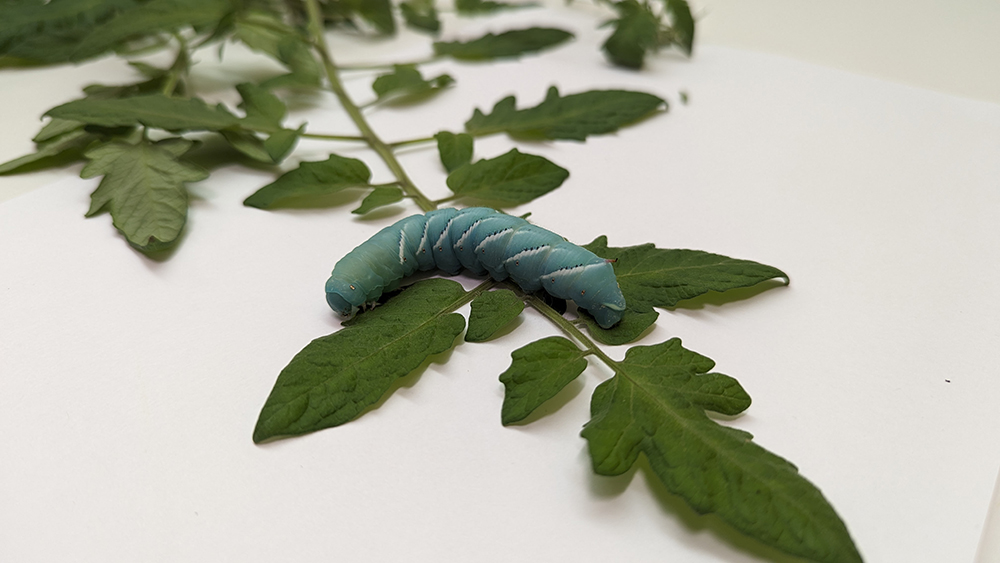 Art of Science behind the scenes