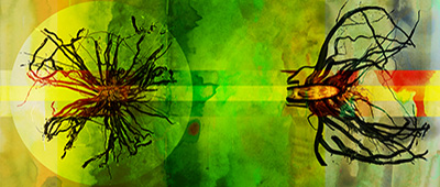 RIZA AND TODANA thumbnail