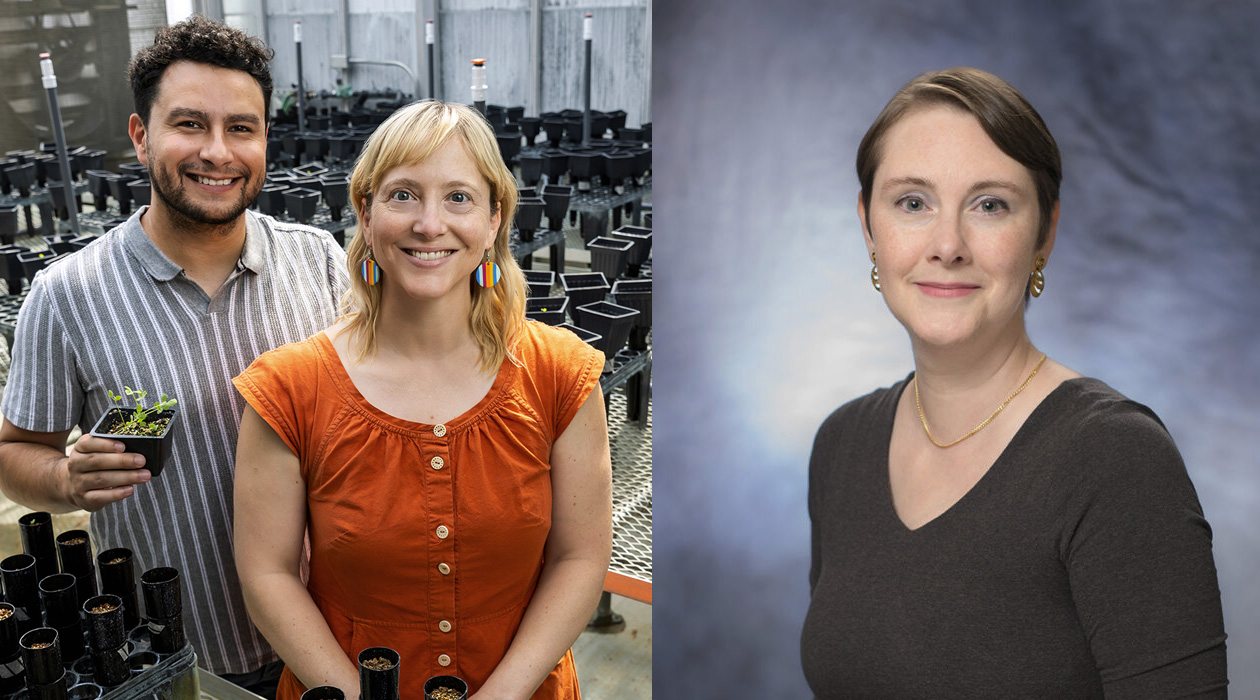 Illinois Ph.D. student Ivan Sosa Marquez, left, plant biology professor Katy Heath and their colleagues identified clusters of genes in soil bacteria that enhance plant growth. Photo by Michelle Hassel. Study co-lead Amy Marshall-Colón, pictured, and postdoctoral researcher Rizwan Riaz conducted detailed statistical analyses and gene network modeling to identify which rhizobial genes correlated with more robust plant growth. Photo by Della Perrone