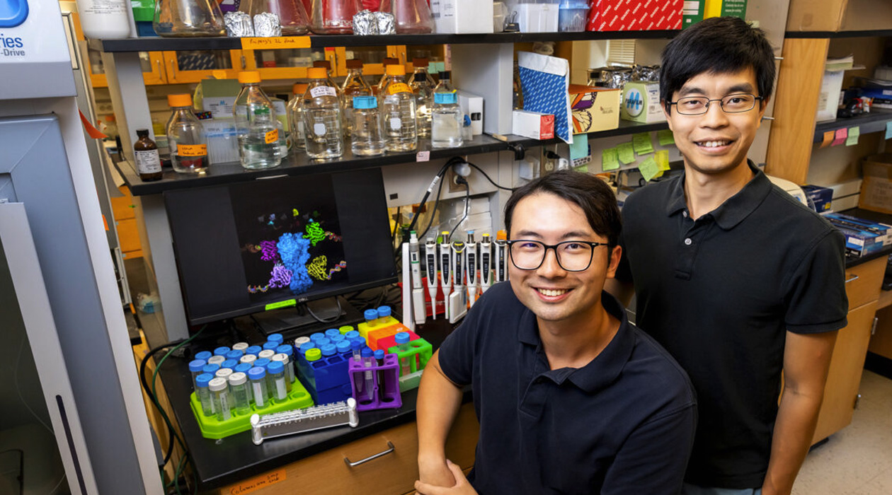 Graduate student Owen Ouyang, left, and professor Nicholas Wu found common features among antibodies that bind to the influenza antigen hemagglutinin, a key target for vaccine development. Photo by Michelle Hassel