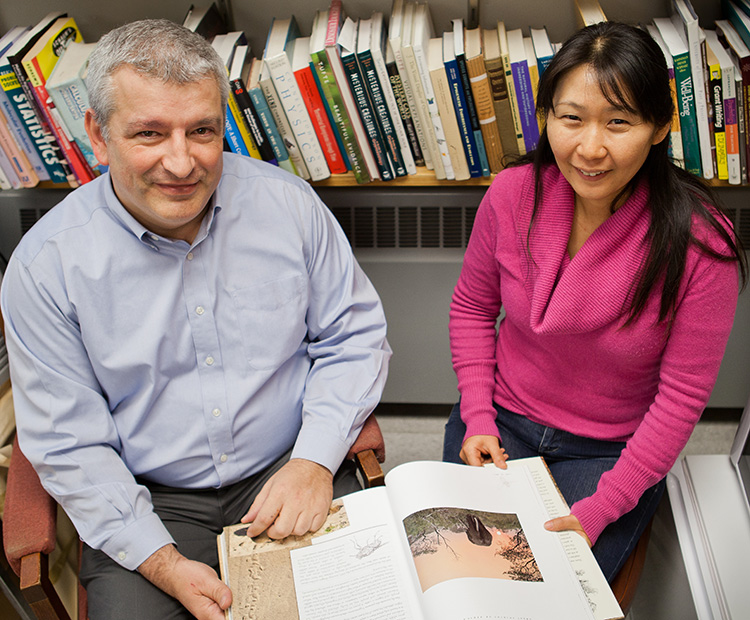Associate Professor of Animal Sciences Alfred Roca, left, with Research Specialist Yasuko Ishida