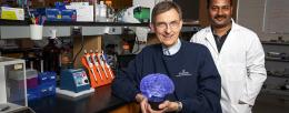 Illinois professor Uwe Rudolph, left, and research scientist Maltesh Kambali led an international group of researchers who found a key role for an enzyme regulating glycine in the brain while investigating a rare genetic mutation found in two patients with schizophrenia. Photo by Michelle Hassel