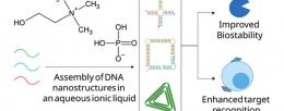 A diagram from the lab's published paper in JACS.