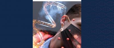 M-CELS research featured on cover of ACS Applied Materials and Interfaces