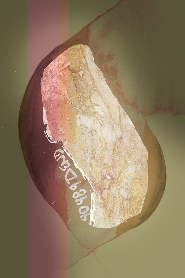 Orenda<br />
Scientist Collaborators Surangi Punyasena, Scott Lakeram, Scott Elrick<br />
Punyasena Paleoecology Group<br />
Zeiss Axio Zoom<br />
Funded by University of Illinois Phillips Fund for Paleobotany (Department of Plant Biology) Illinois State Geological Survey