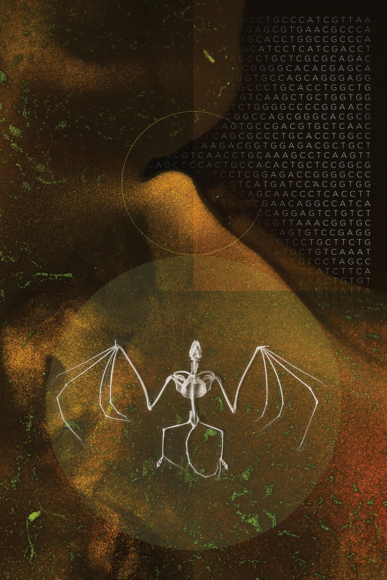 MAPPING FOR NI’ HODIŁHIŁ