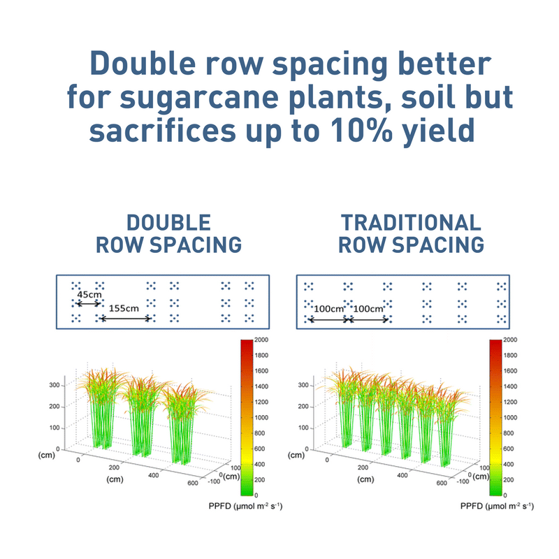 Double row spacing is better for sugarcane plants, soil but sacrifices up to 10% of yield. 