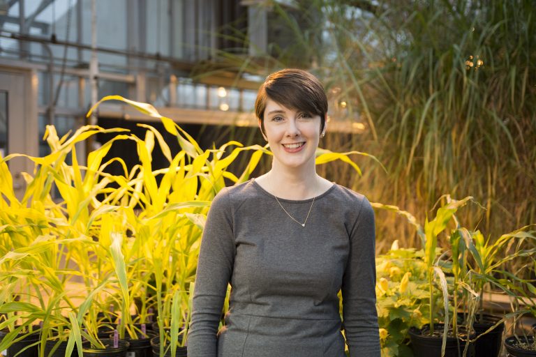 Over the next four years, Plant Biology Assistant Professor Amy Marshall-Colón will lead Crops in silico 2.0, a $5 million project funded by the Foundation for Food and Agriculture Research.