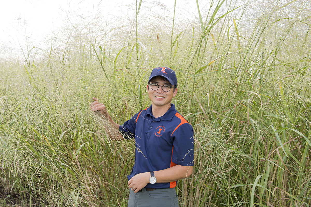 University of Illinois Crop Sciences Associate Professor D.K. Lee on the Illinois Energy Farm with the ‘Independence’ switchgrass variety he developed.