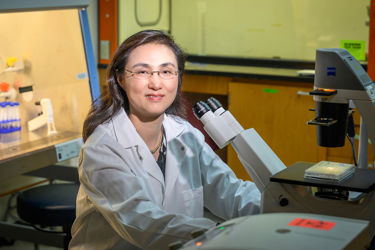 Illinois pathobiology professor Ying Fang and her colleagues developed a reliable coronavirus test that can be used to detect and monitor infection in wild and domesticated animals.