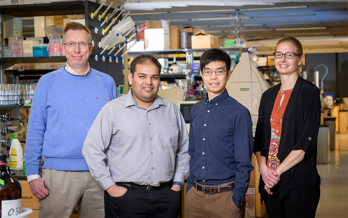 From left to right, Wilfred van der Donk, Angad Mehta, Nicholas Wu and Beth Stadtmueller will receive $9.5 million over three years through Howard Hughes Medical Institute’s Emerging Pathogens Initiative.
