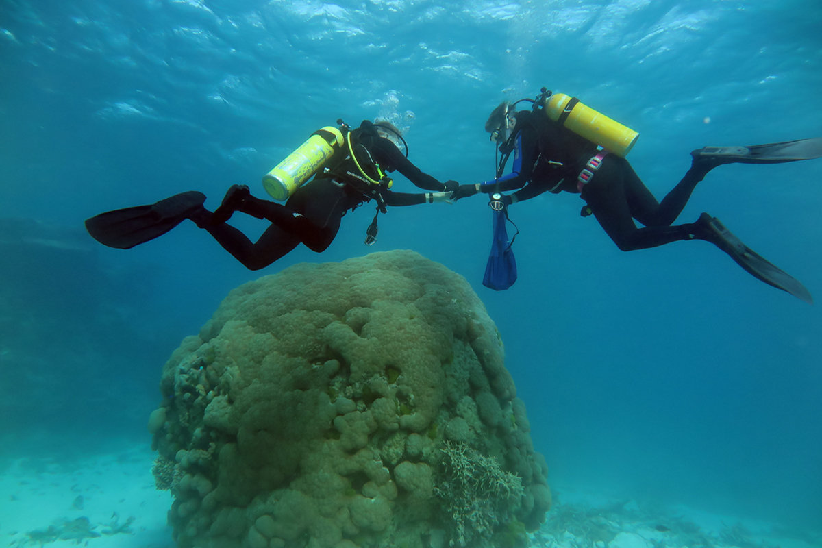 Co-authors Bruce and Kyle Fouke collecting Porites biopsy samples at 10 meters depth at Myrmidon – the most seaward reef of the Great Barrier Reef, located 124 km off the coast of northeastern Australia.