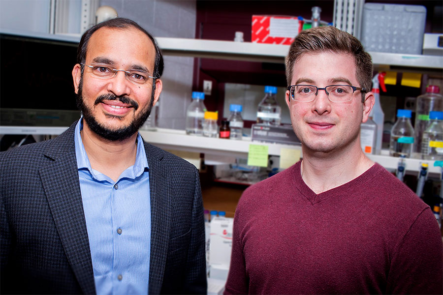 University of Illinois biochemistry professor Auinash Kalsotra, left, graduate student Joseph Seimetz and their colleagues identified a mechanism that allows heart cells to grow larger by producing more proteins.