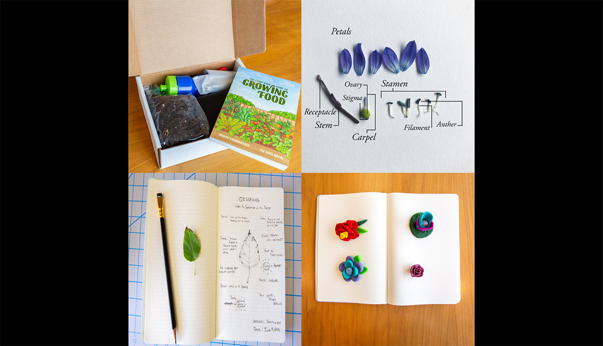 The Pollen Power camp conducted several activities. Clockwise from top left: the introductory kit, learning how to label the parts of a flower, making clay flowers, and recording observations like a scientist.