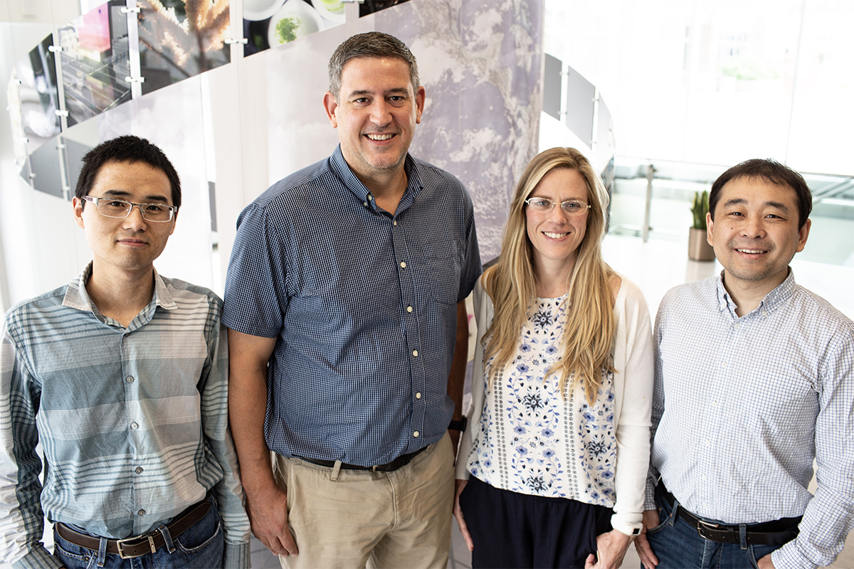 A team from the University of Illinois has stacked together six high-powered algorithms to help researchers make more precise predictions from hyperspectral data to identify high-yielding crop traits. From left to right: Postdoctoral Researcher Peng Fu, USDA-ARS Scientist Carl Bernacchi, Postdoctoral Researcher Katherine Meacham-Hensold, and Assistant Professor Kaiyu Guan. Credit