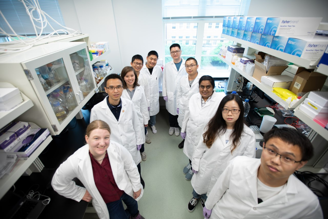 Associate Professor of Bioengineering Ting Lu (2nd from left), shown with his research lab members, aims to use a microbial approach to convert waste plastic into edible food.