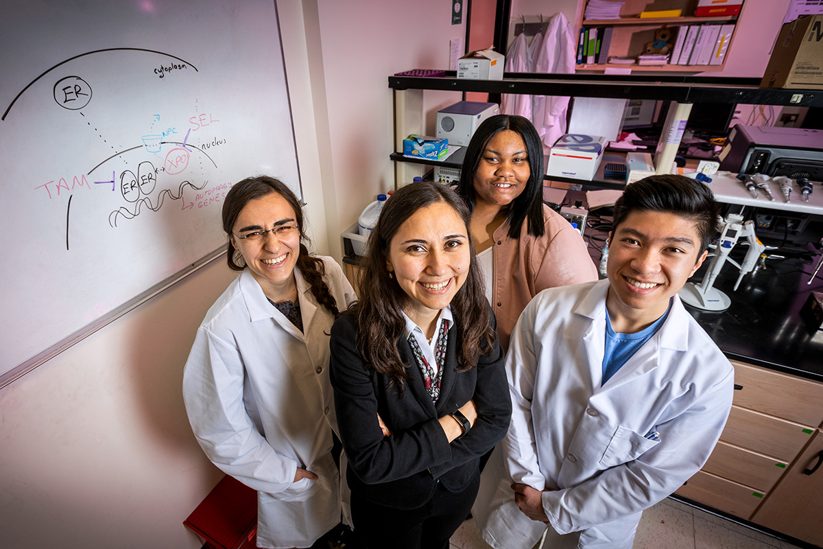 Targeting estrogen receptor-positive breast tumors with the XPO1 antagonist selinexor and the tamoxifen byproduct 4-OHT simultaneously rewires the cells’ metabolism to overcome endocrine resistance, University of Illinois researchers  found in a new study. The team, from left, graduate student Eylem Kulkoyluoglu-Cotul, food science and human nutrition professor Zeynep Madak-Erdogen, graduate student Brandi Patrice Smith and undergraduate student Kevin Duong. 