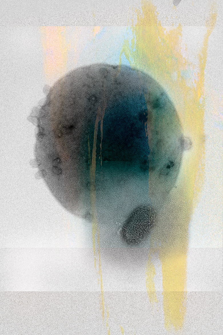 <br />
Scientist Collaborator Elizabeth Rowland<br />
Rachel Whitaker Laboratory<br />
Philips CM200 Transmission Electron Microscope<br />
Space Administration, and the Mame Shiao Debbie award from the Department of Microbiology